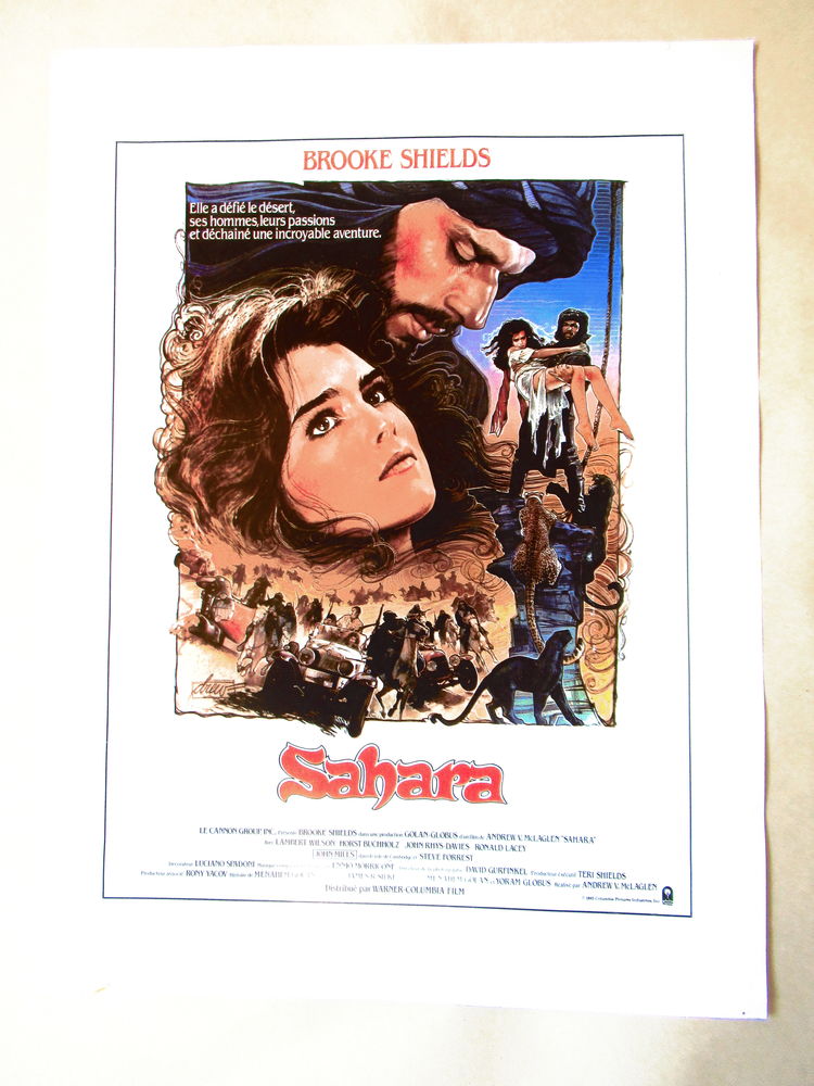 Synopsis + jeu de 12 photos d'exploitation film SAHARA 1983 28 Curtafond (01)