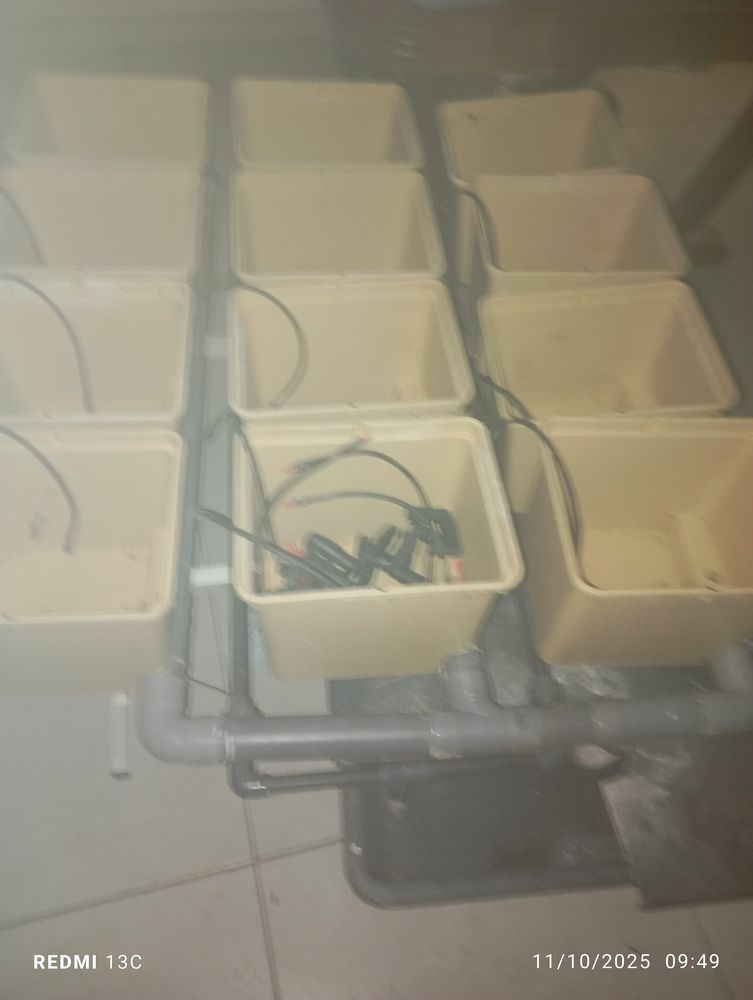 Syst�me hydroponique dutch pot hydro 180 Clairac (47)