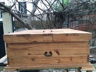 Table basse coffre avec double abattants en pin massif 60 Nice (06)