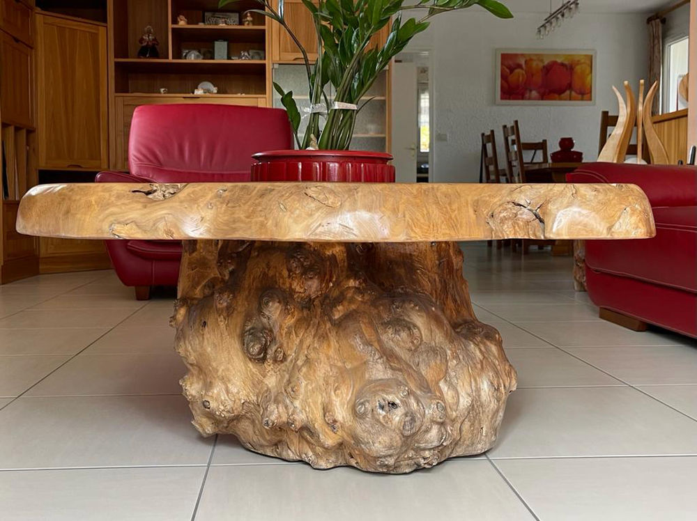 Table basse en loupe d'orme 1000 Saint-Maximin (60)