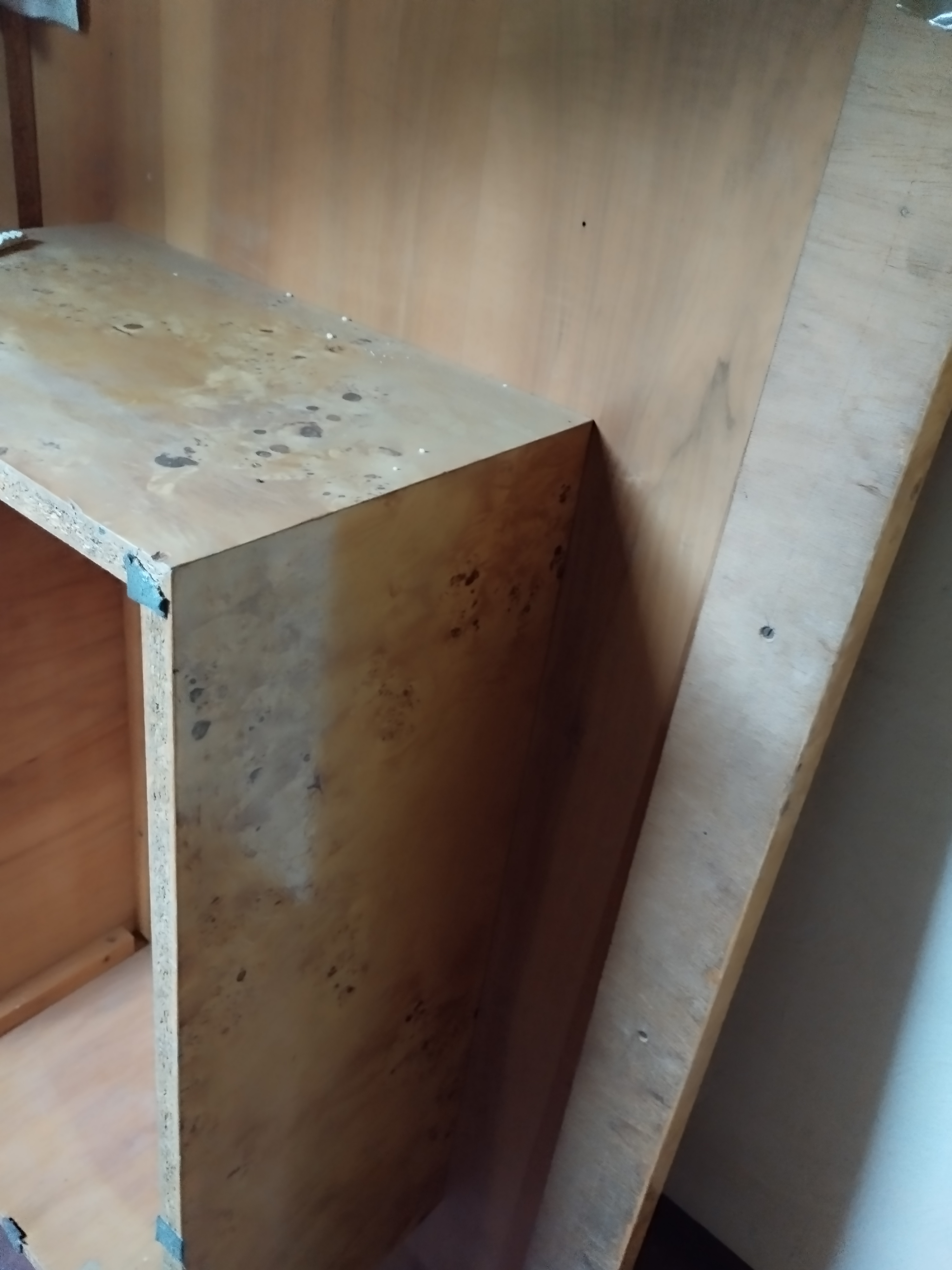 Table basse en loupe 300 Nice (06)