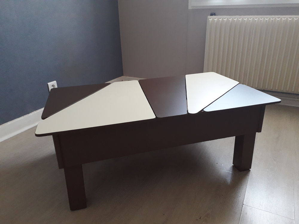table basse originale 25 Marolles (51)