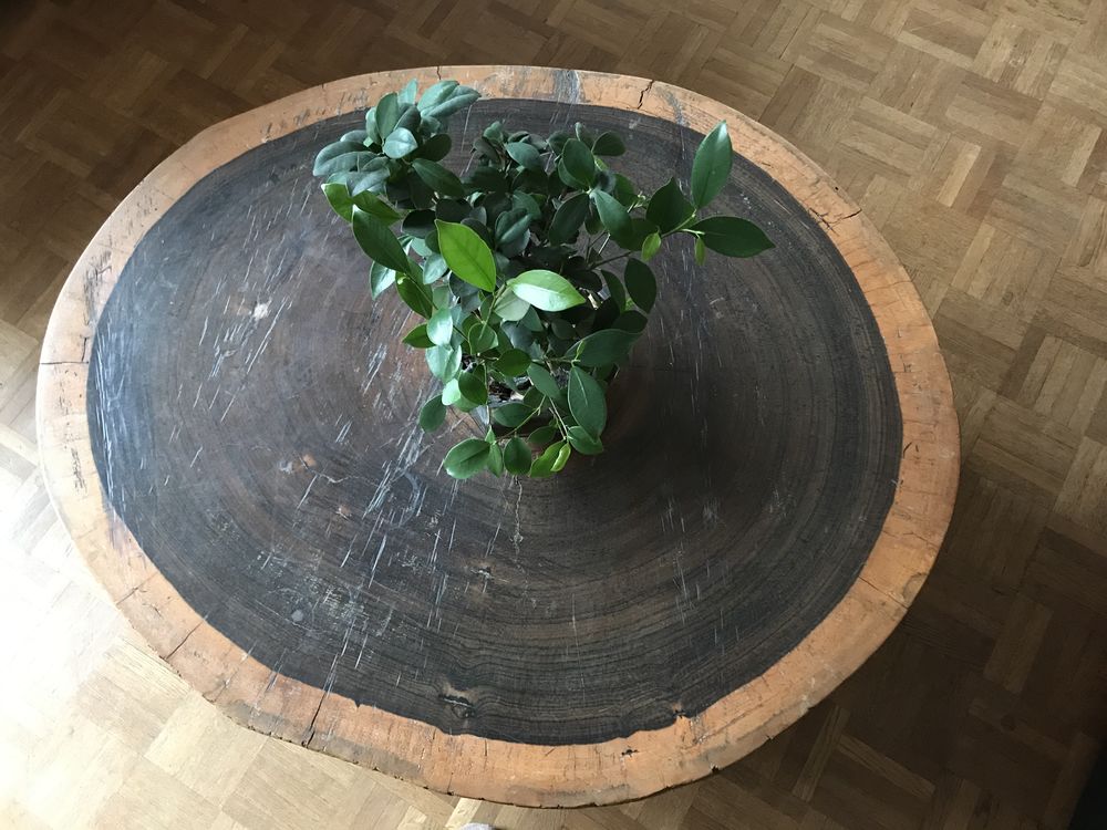 Table basse Padouk 130 Orl�ans (45)