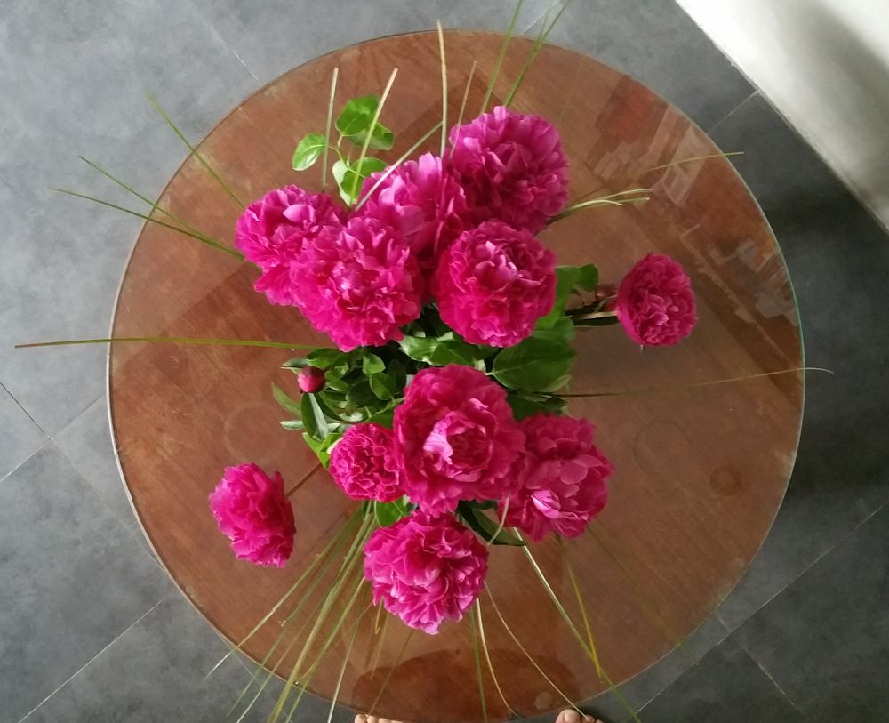 table basse de salon art deco ann�es 30 0 Marseille 9 (13)