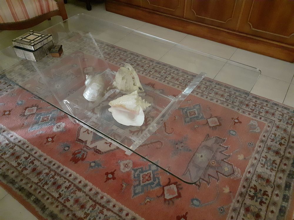 table basse salon 40 Teyran (34)