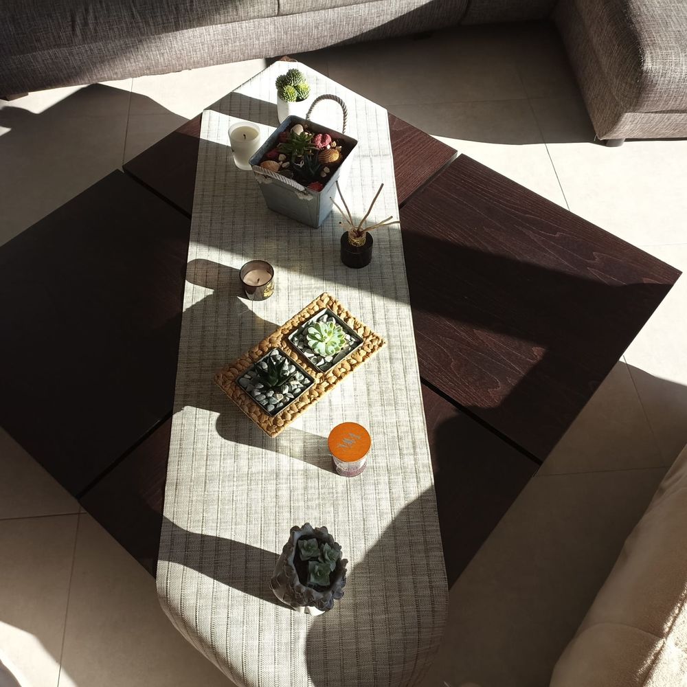 table basse de salon 20 Annecy-le-Vieux (74)