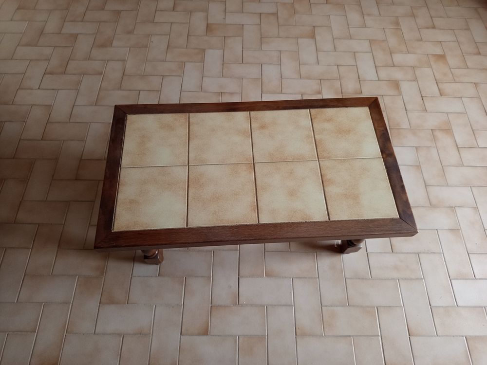 Table basse de salon 8 Montlouis-sur-Loire (37)