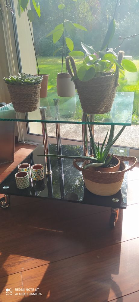 Table basse 30 La Bou�xi�re (35)