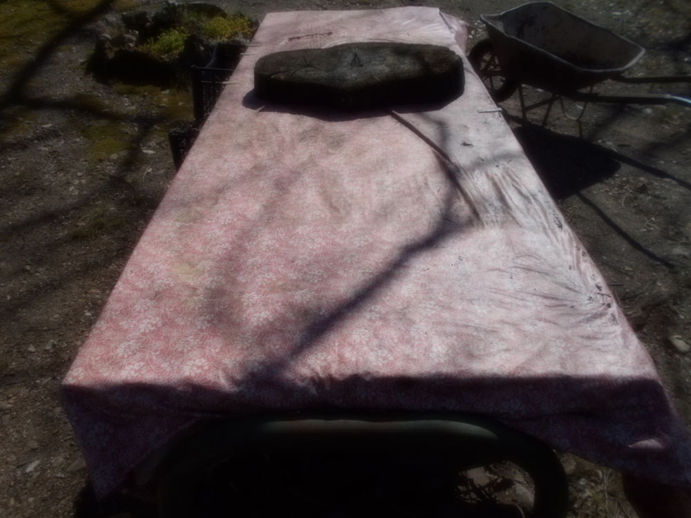 table de cantine 70 V�z�nobres (30)