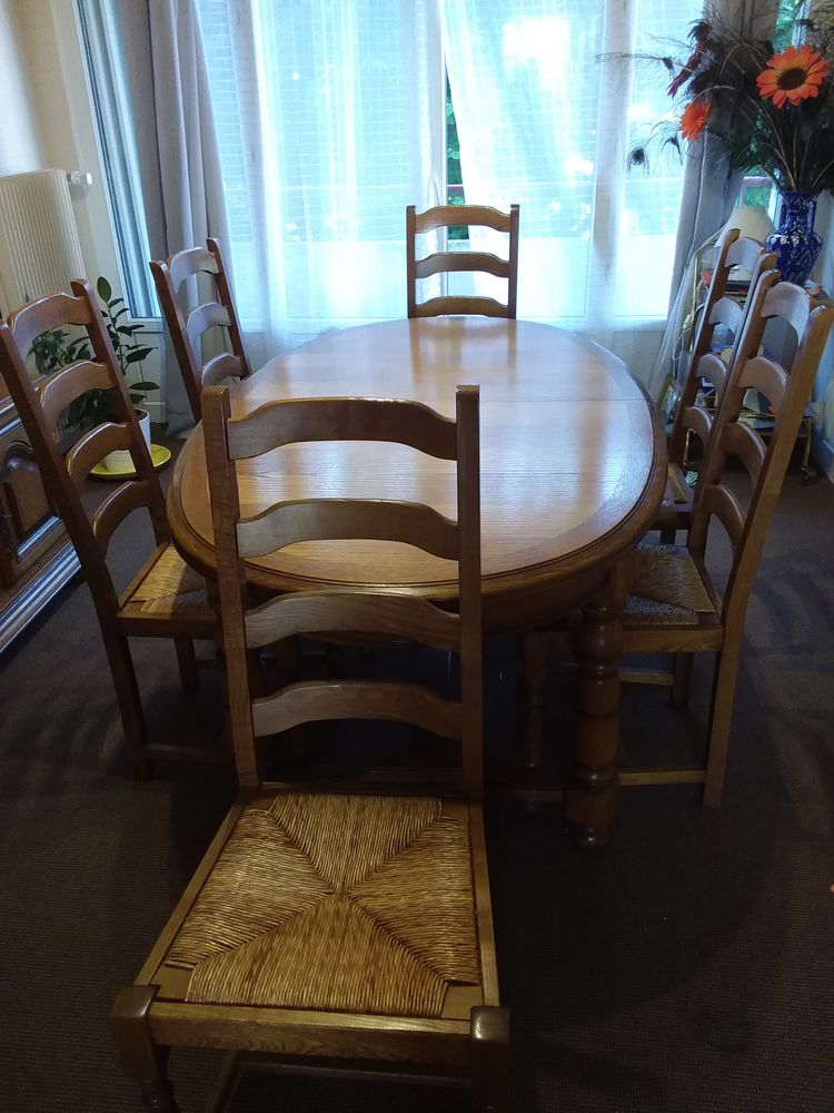 Table et chaises de salle à manger  100 Lucé (28)