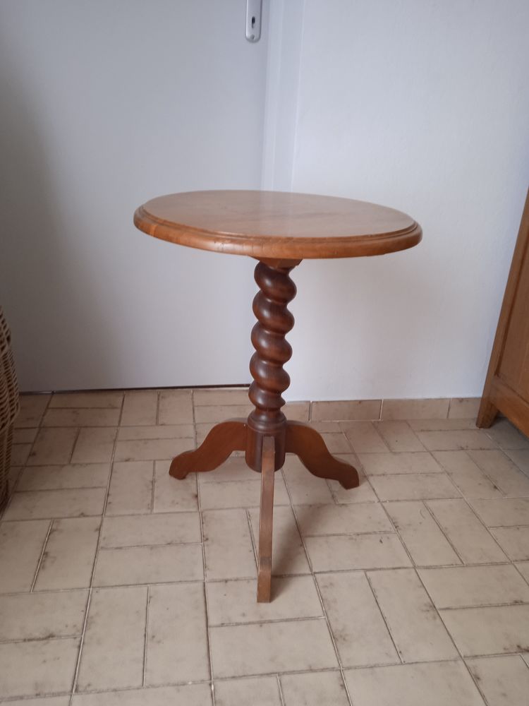 table ch�ne 40 Flagnac (12)