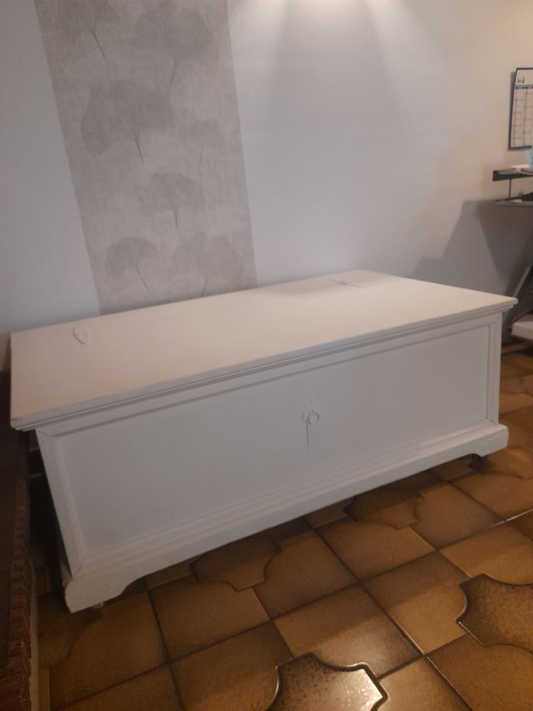 Table coffre de salon 20 Grosbreuil (85)