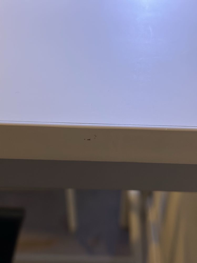 Table haute et 4 chaises 250 Sathonay-Village (69)