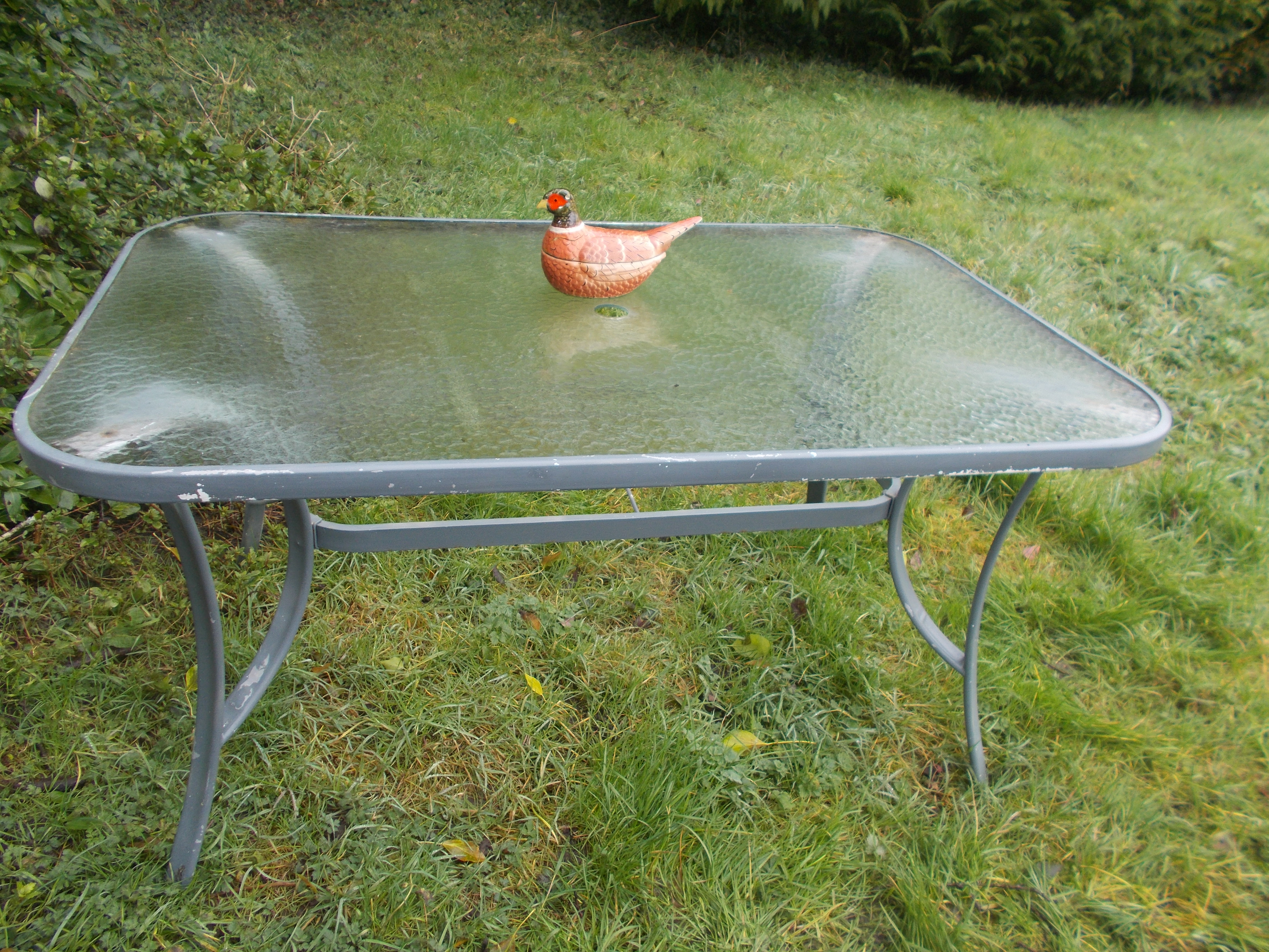 table de jardin  verre et m�tal 25 Fontaine-Bellenger (27)