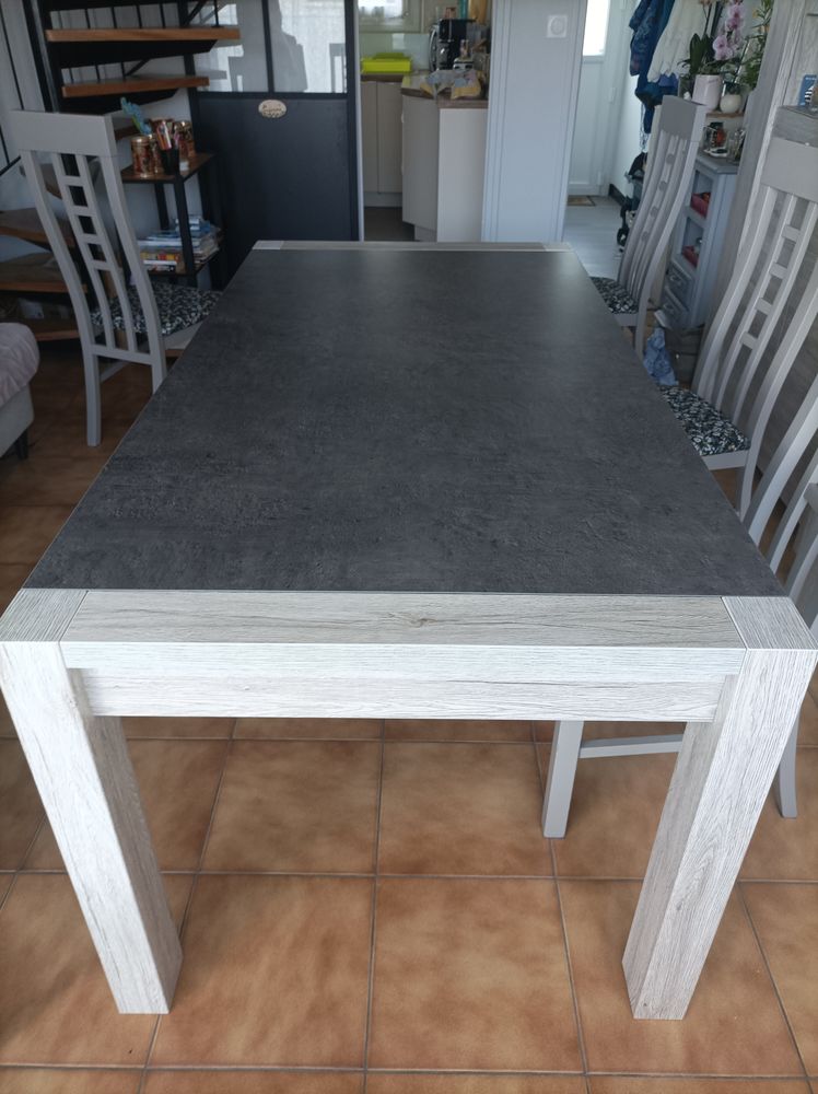 Table Malone L180 200 Saint-Georges-de-Didonne (17)