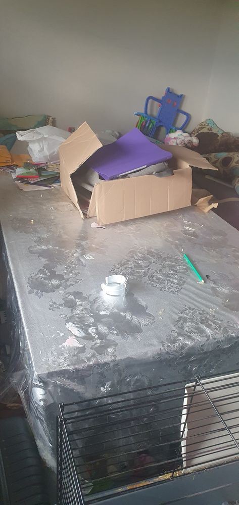 Table � manger 50 Compi�gne (60)