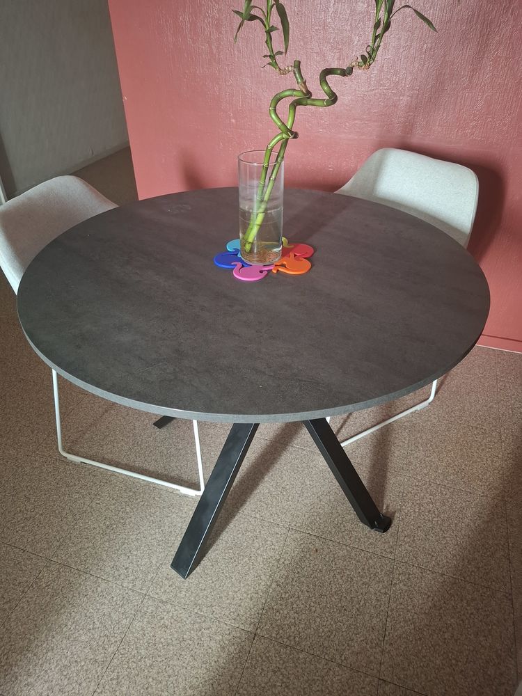 Table � manger 100 Blois (41)