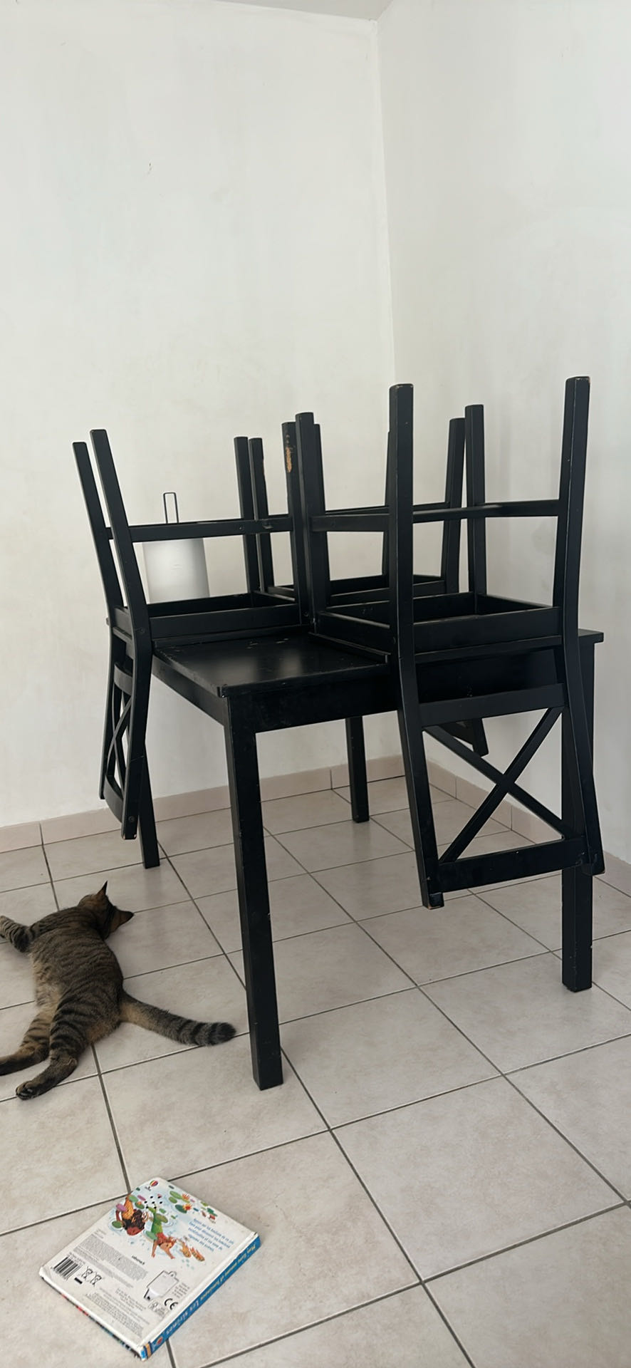 table �  manger 25 Aucamville (31)