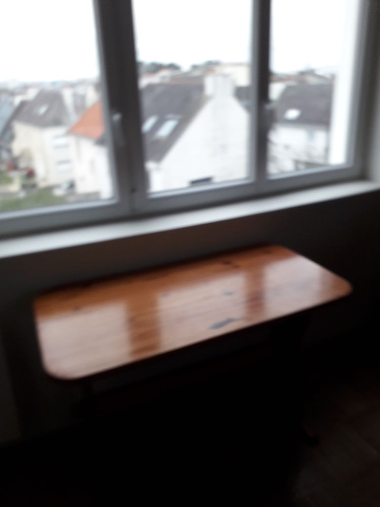 Table en pin massif 20 Lorient (56)
