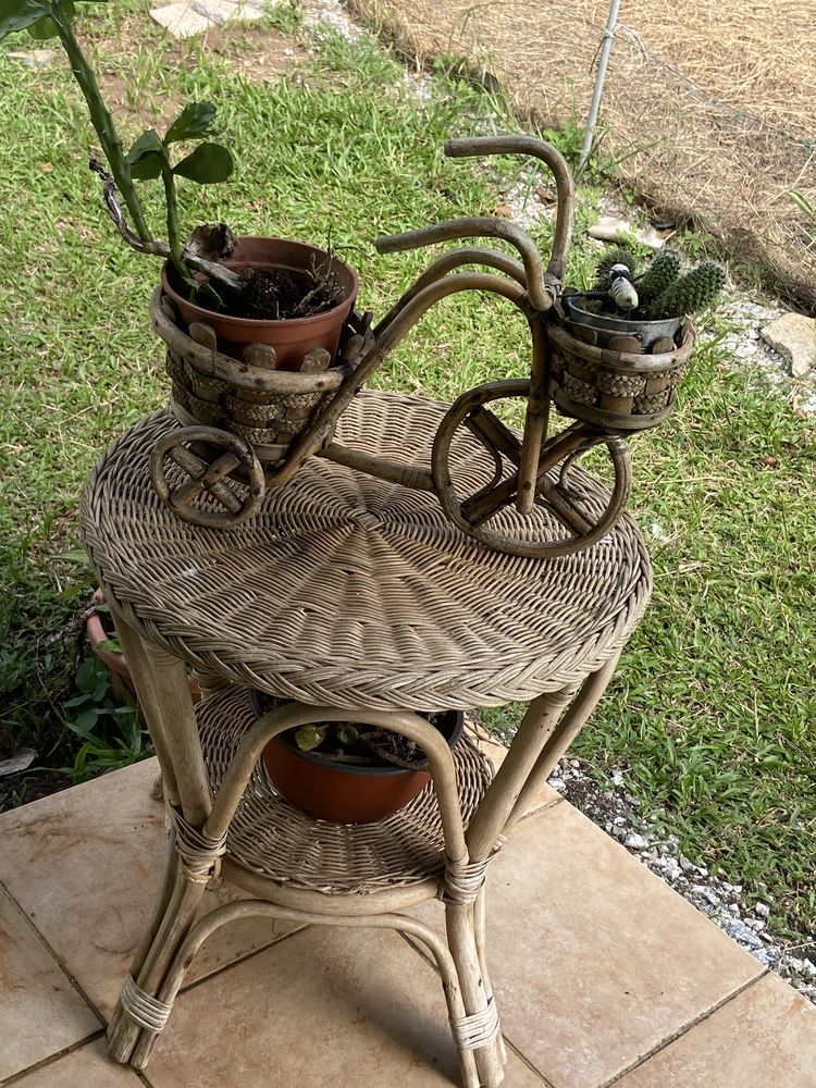 Table en osier 25 Remire-Montjoly (97)