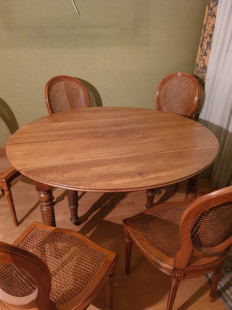 Table ovale avec rallonge centrale 100 Annecy (74)