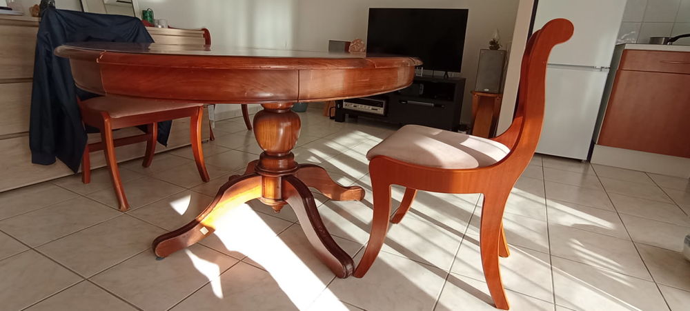 TABLE OVALE + 4 CHAISES 100 Tr�bes (11)