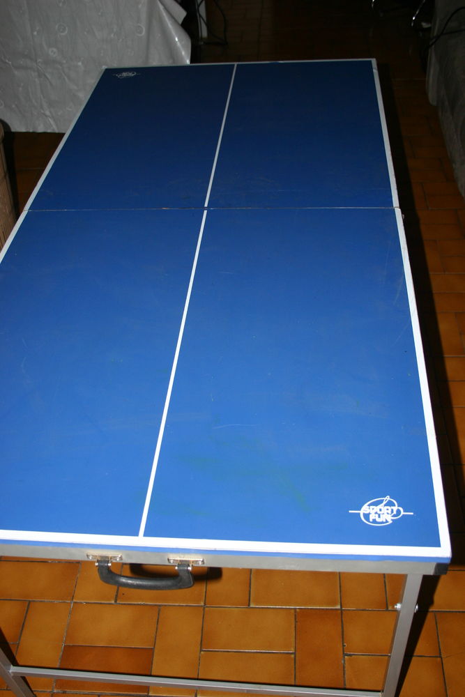 table de ping pong 25 Loos (59)