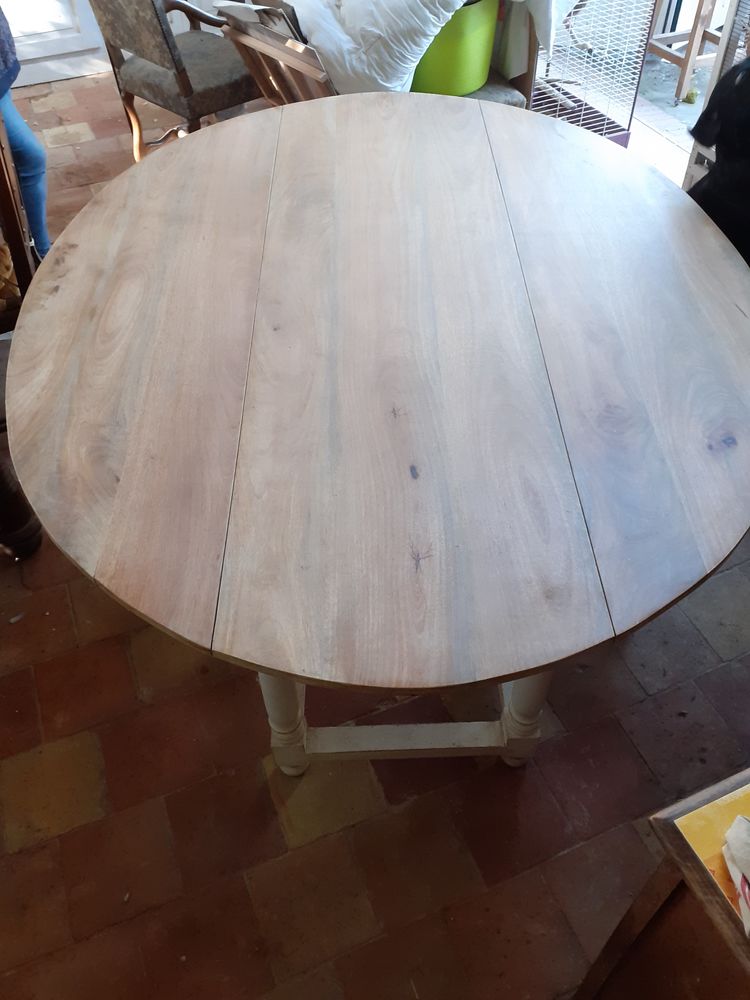 Table pliante atypique 10/ 12 pers 650 Saint-Germain-de-la-Coudre (61)