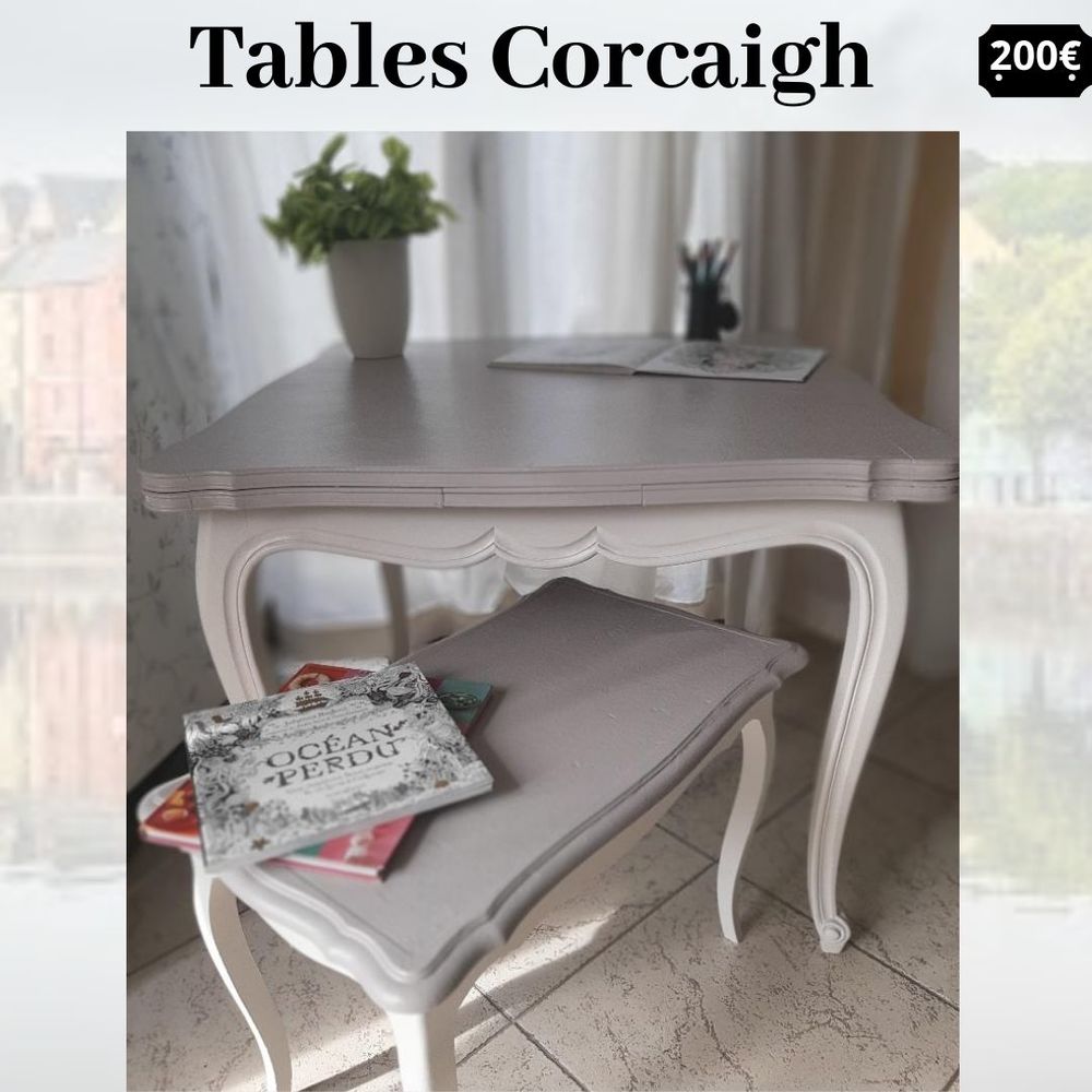 table de salle � manger et table basse 200 Soisy-sur-Seine (91)