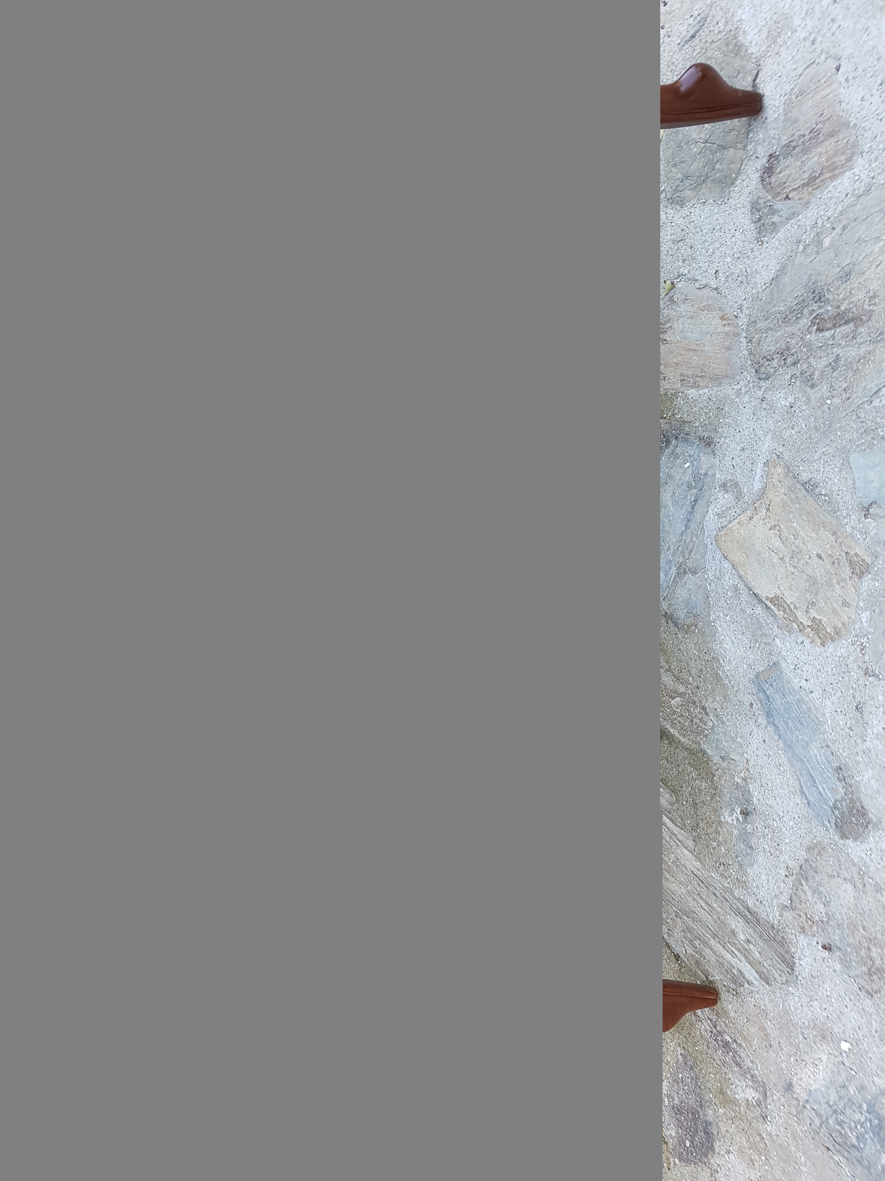 Table de salon 45 Perpignan (66)