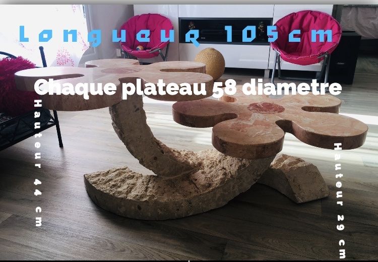 table de salon 100 M�zi�res-sur-Seine (78)