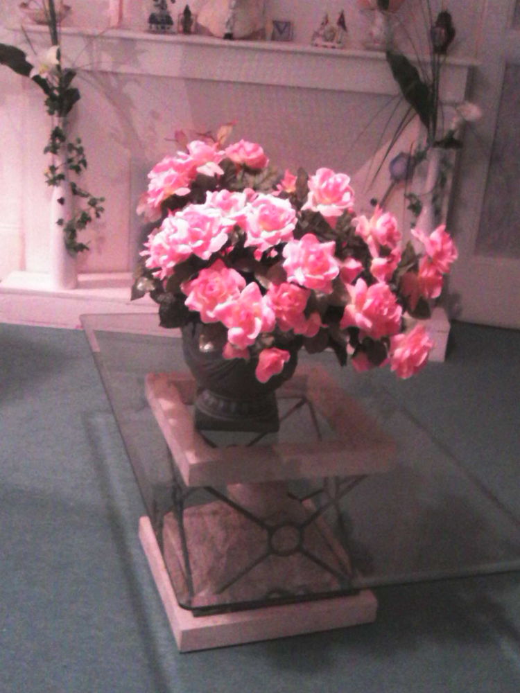 table de salon 0 Saint-Aubin-en-Bray (60)