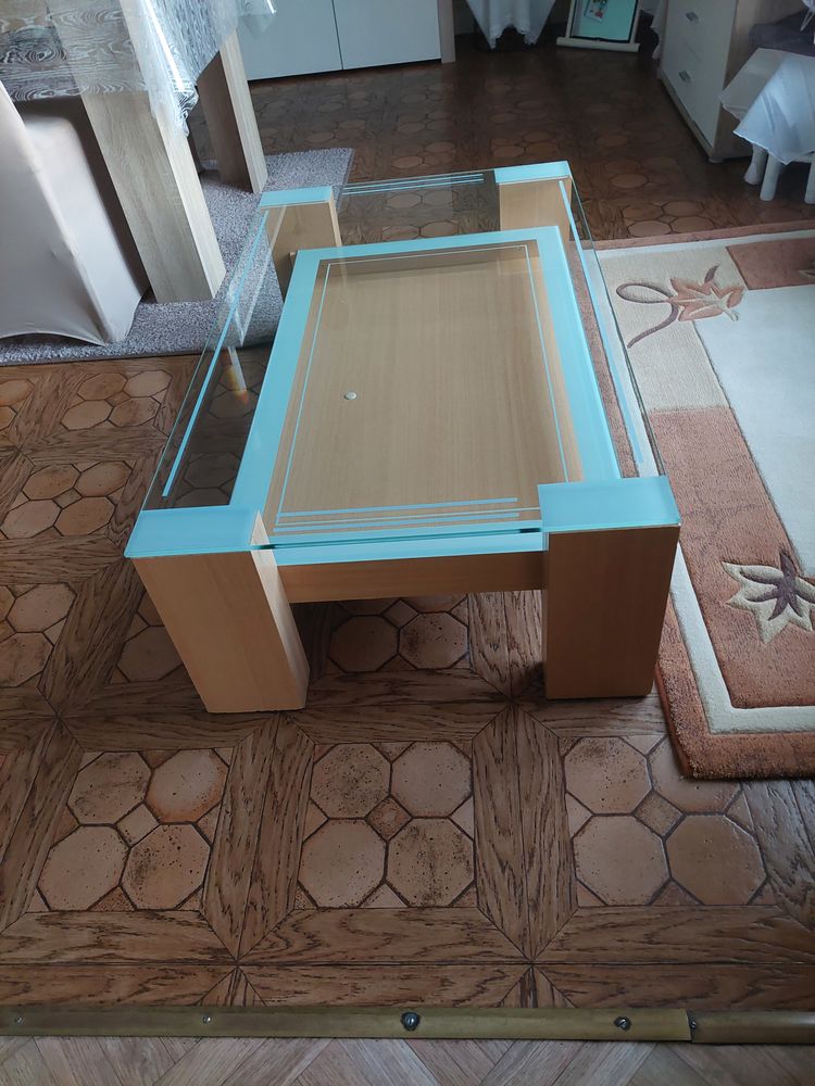 Table de salon 25 Damigny (61)