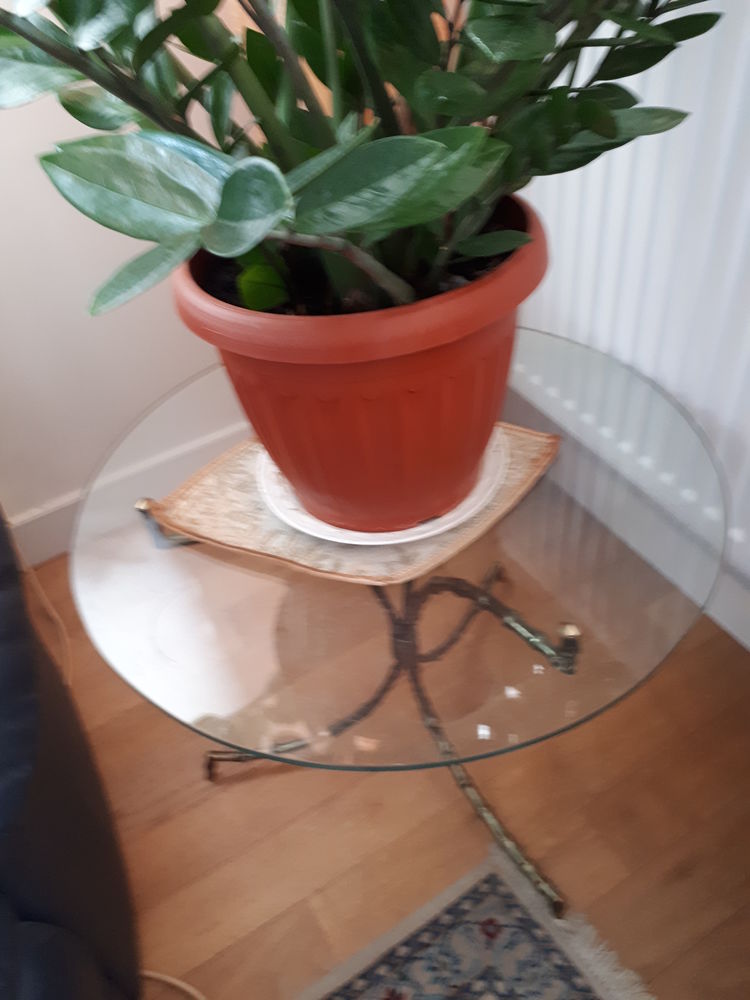 table de salon 200 Paris 15 (75)