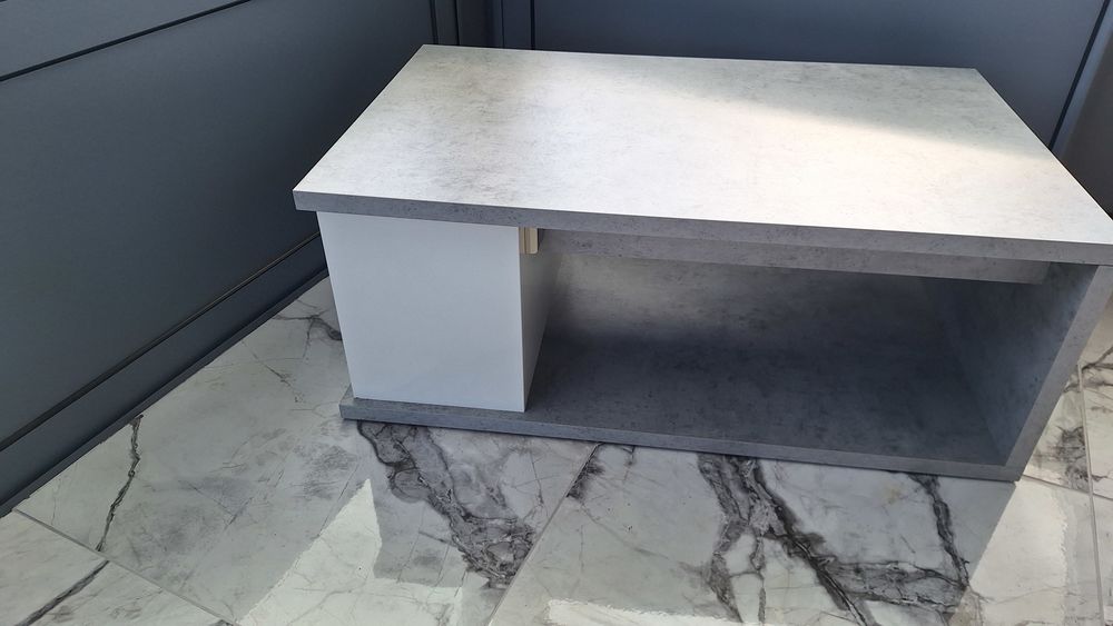 table salon 50 Marigny-le-Ch�tel (10)