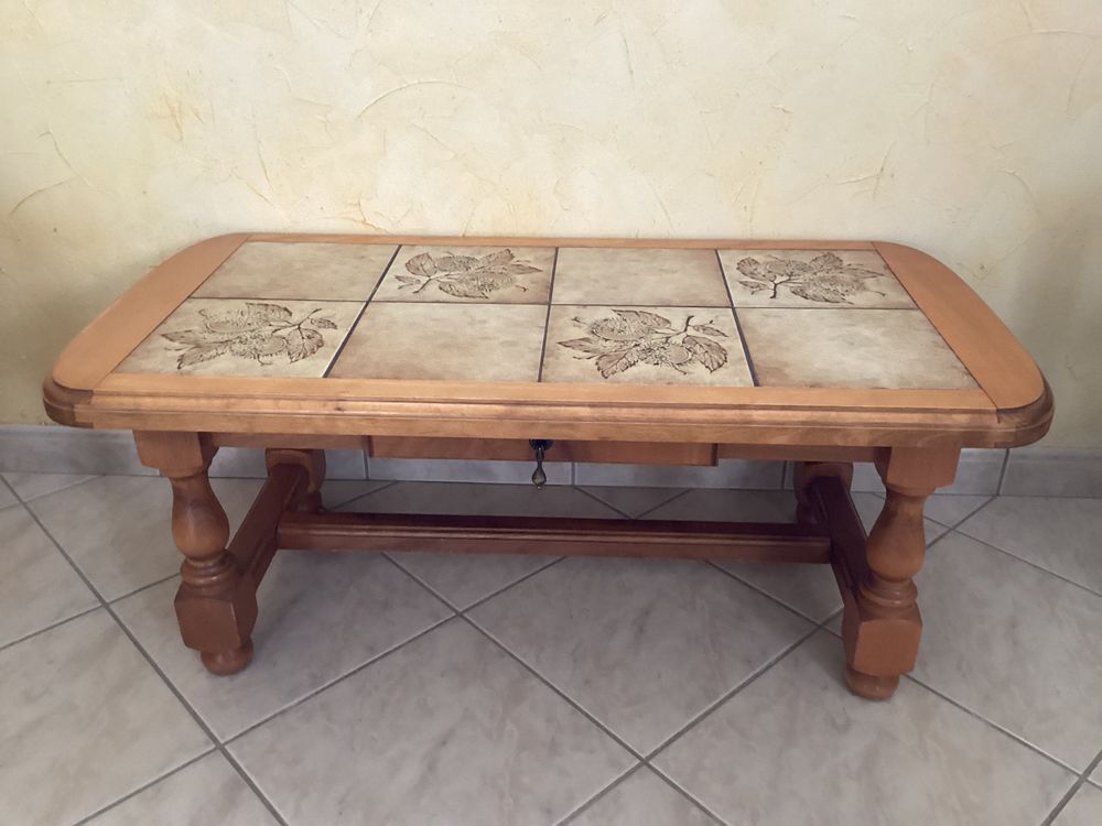 Table de salon 20 Nandax (42)