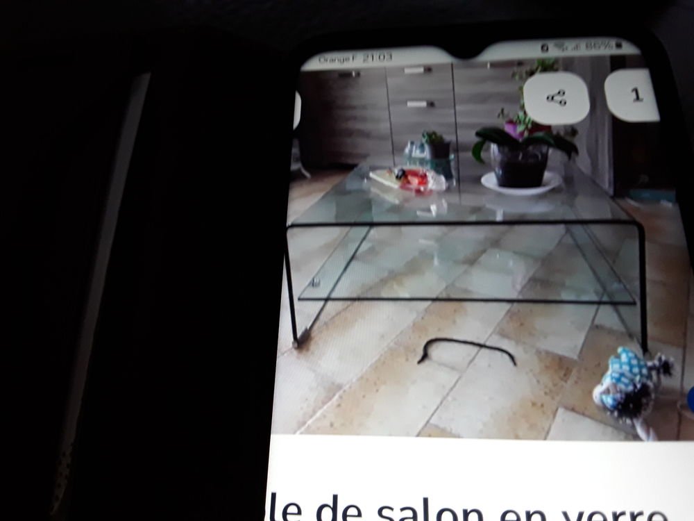 Table de salon 50 Latour-Bas-Elne (66)