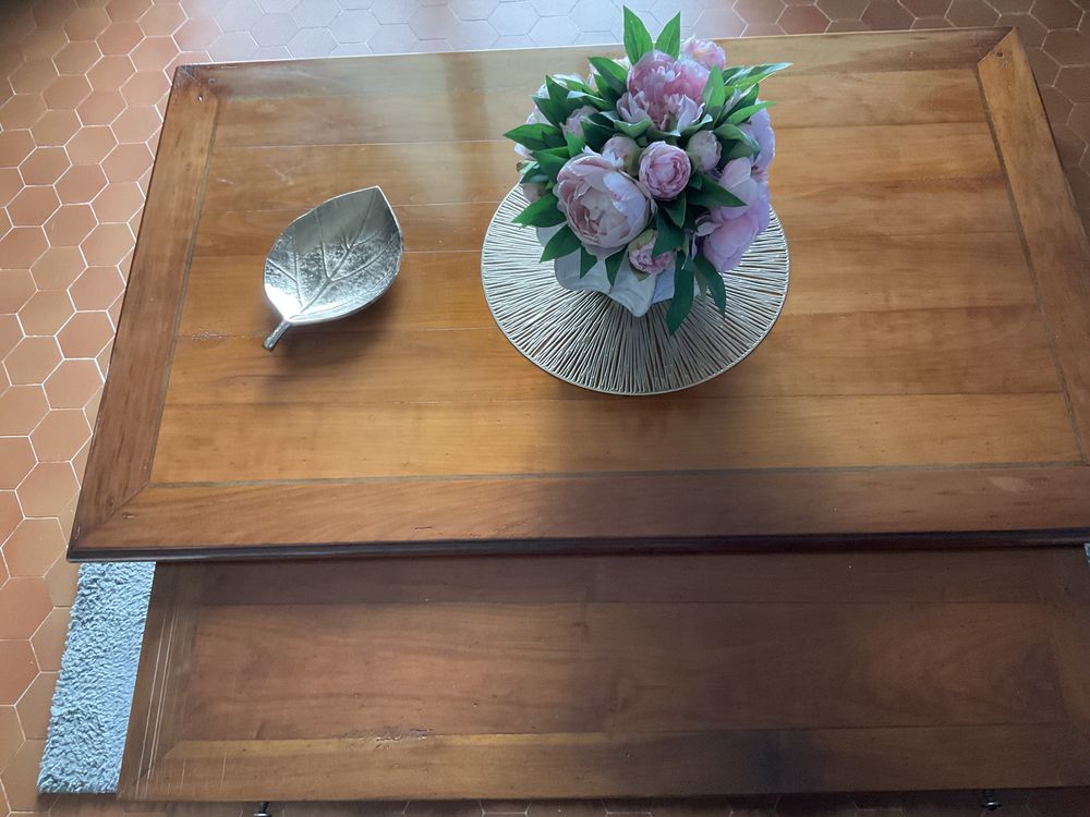 Table salon 100 Les Tourrettes (26)