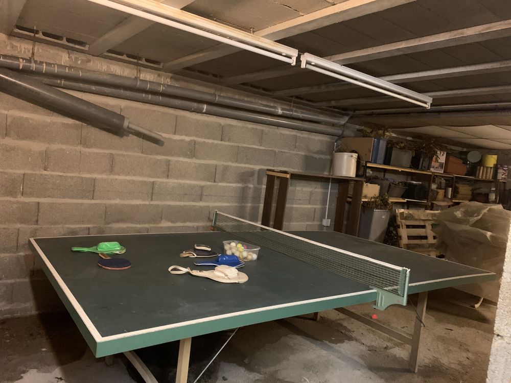 Table de tennis de rable 100 Luxeuil-les-Bains (70)