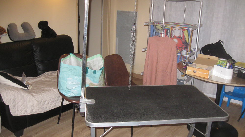table de toilettage pour chien pliante 40 Villemoisson-sur-Orge (91)
