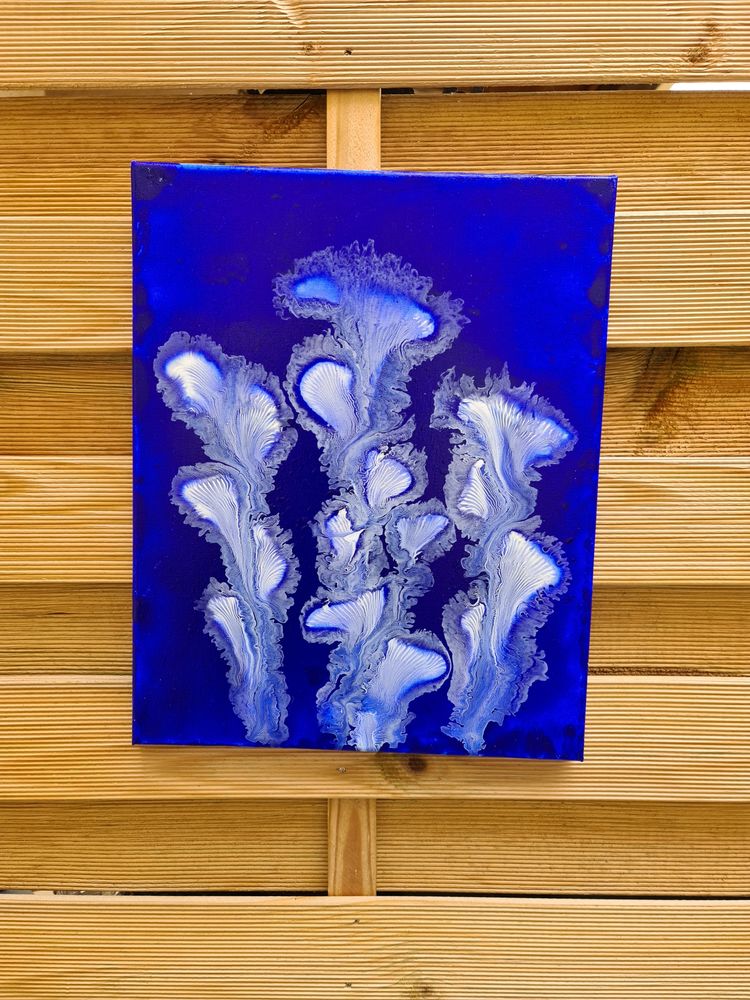 tableau algue marine 100 Agde (34)