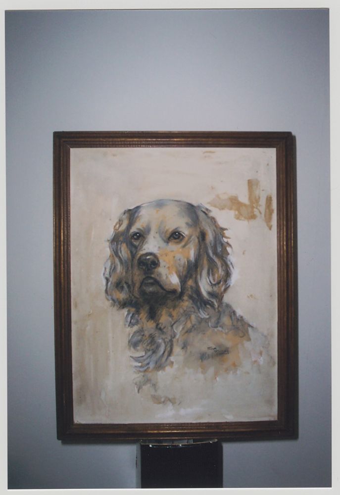 TABLEAU DE L'ARTISTE  MICK MICHEY
35000 Drumettaz-Clarafond (73)