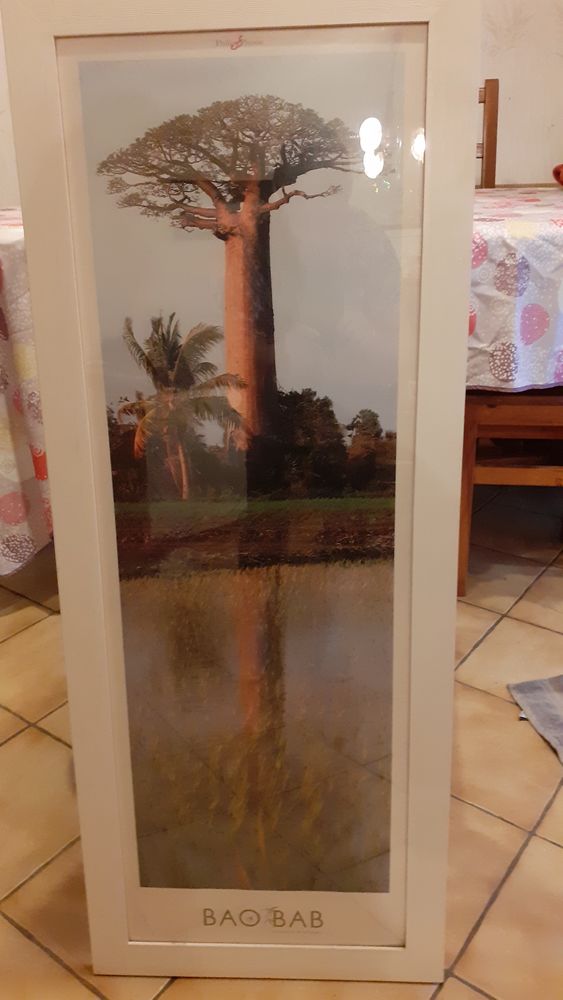 Tableau Baobab neuf 18 Br�tigny-sur-Orge (91)