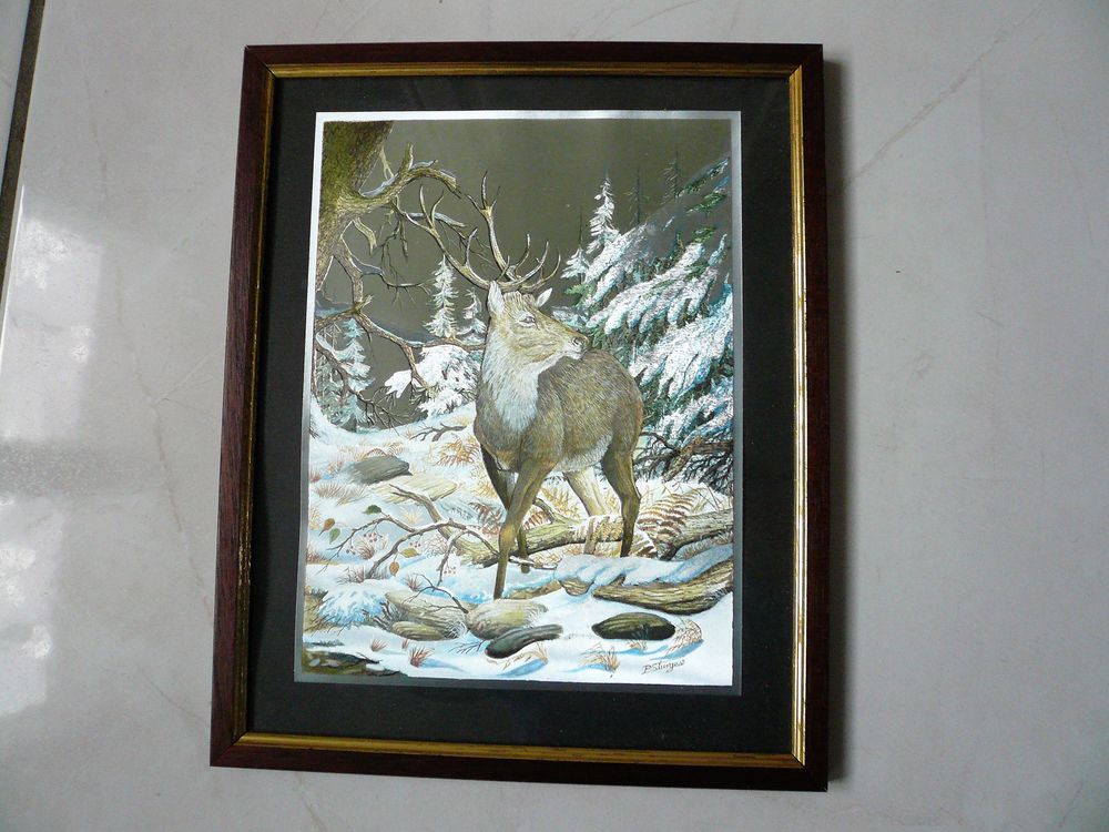 Tableau d'un cerf sur aluminium 15 Franqueville-Saint-Pierre (76)