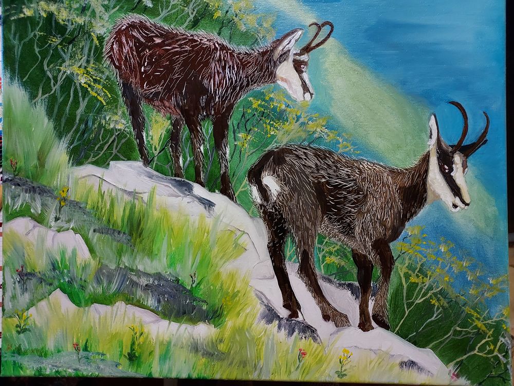 Tableau  Chamois 160 Labastide-Murat (46)