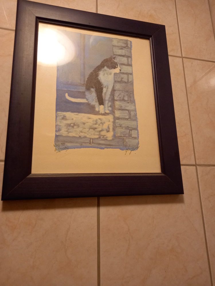 Tableau Chat 25 Meudon (92)