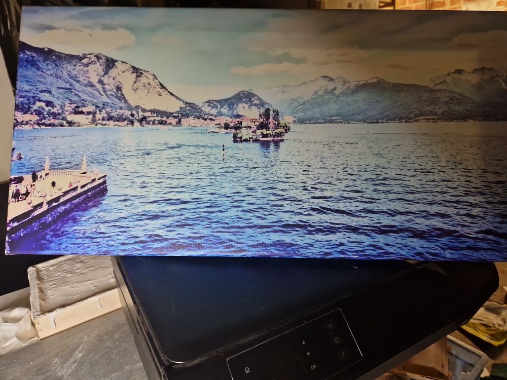 Tableau lac de C�me en  photo 20 Hem (59)