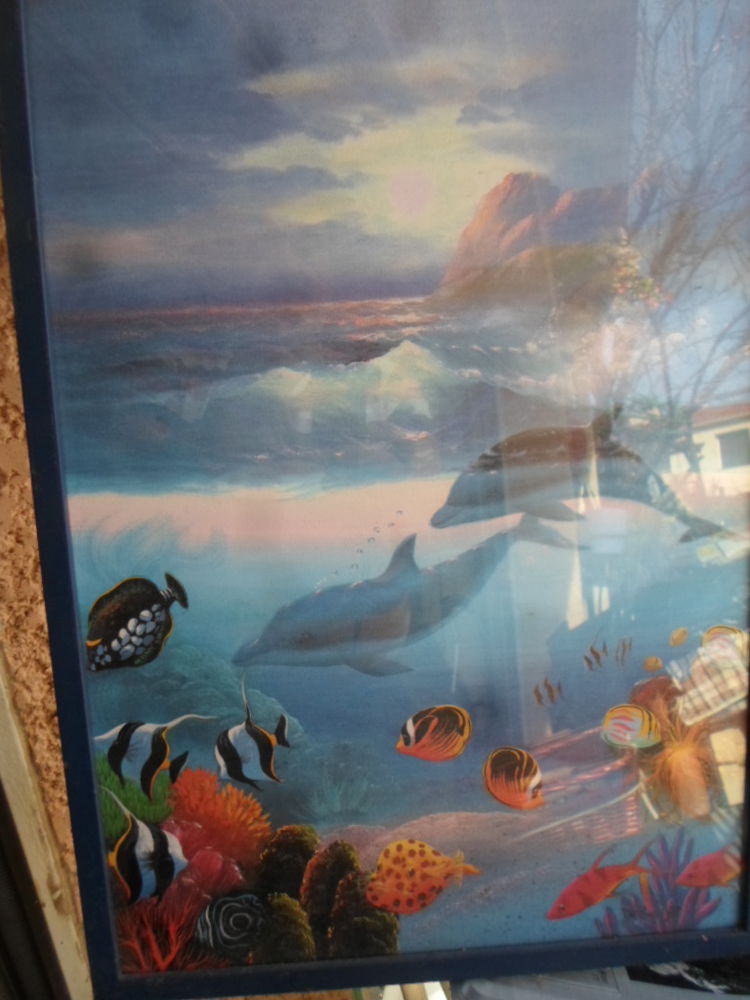 tableau dauphin 37x52 encadre sous verre 55 Am�lie-les-Bains-Palalda (66)