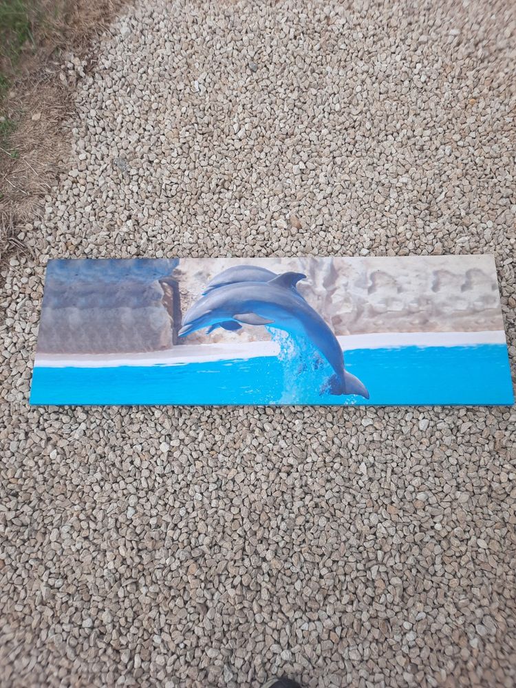 Tableau dauphin 5 Thilouze (37)