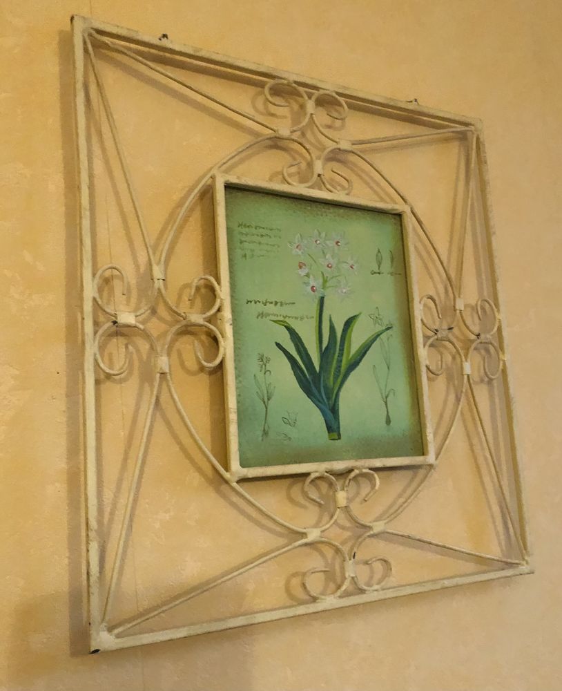 Tableau encadrement en fer forg� - dessin botanique 35 Le Pr�-Saint-Gervais (93)